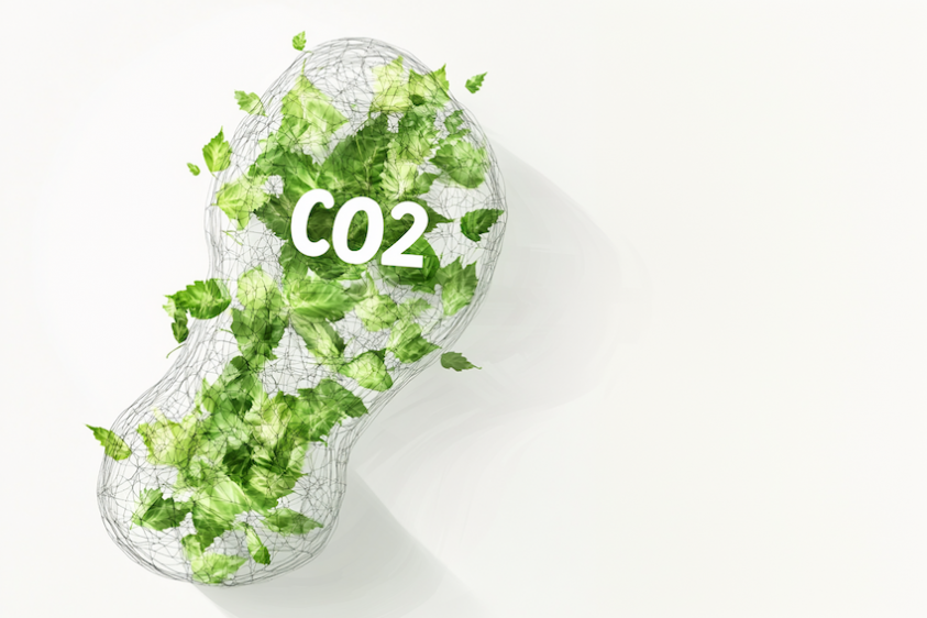 Complete Guide to Best Platforms for Hiring Carbon Specialists